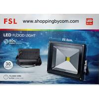 LED Flood Light 